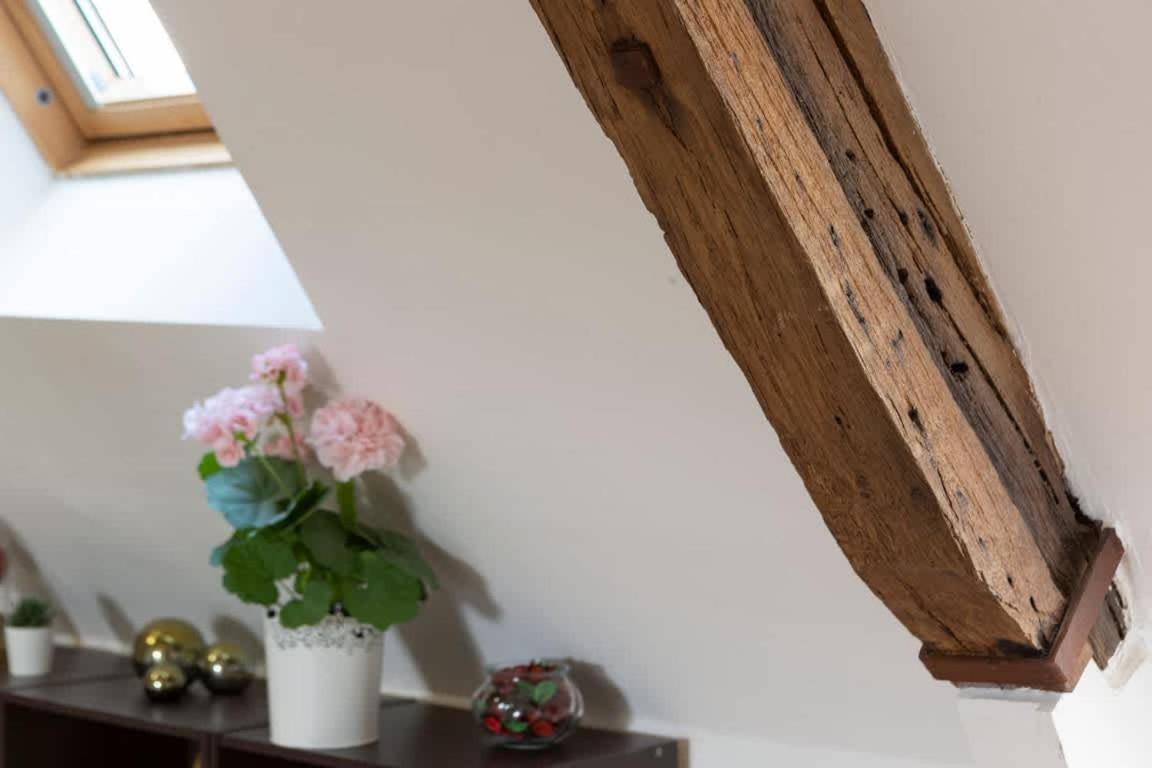 Le Ruellan Charmant Duplex Proche Plage Saint-Malo Kültér fotó
